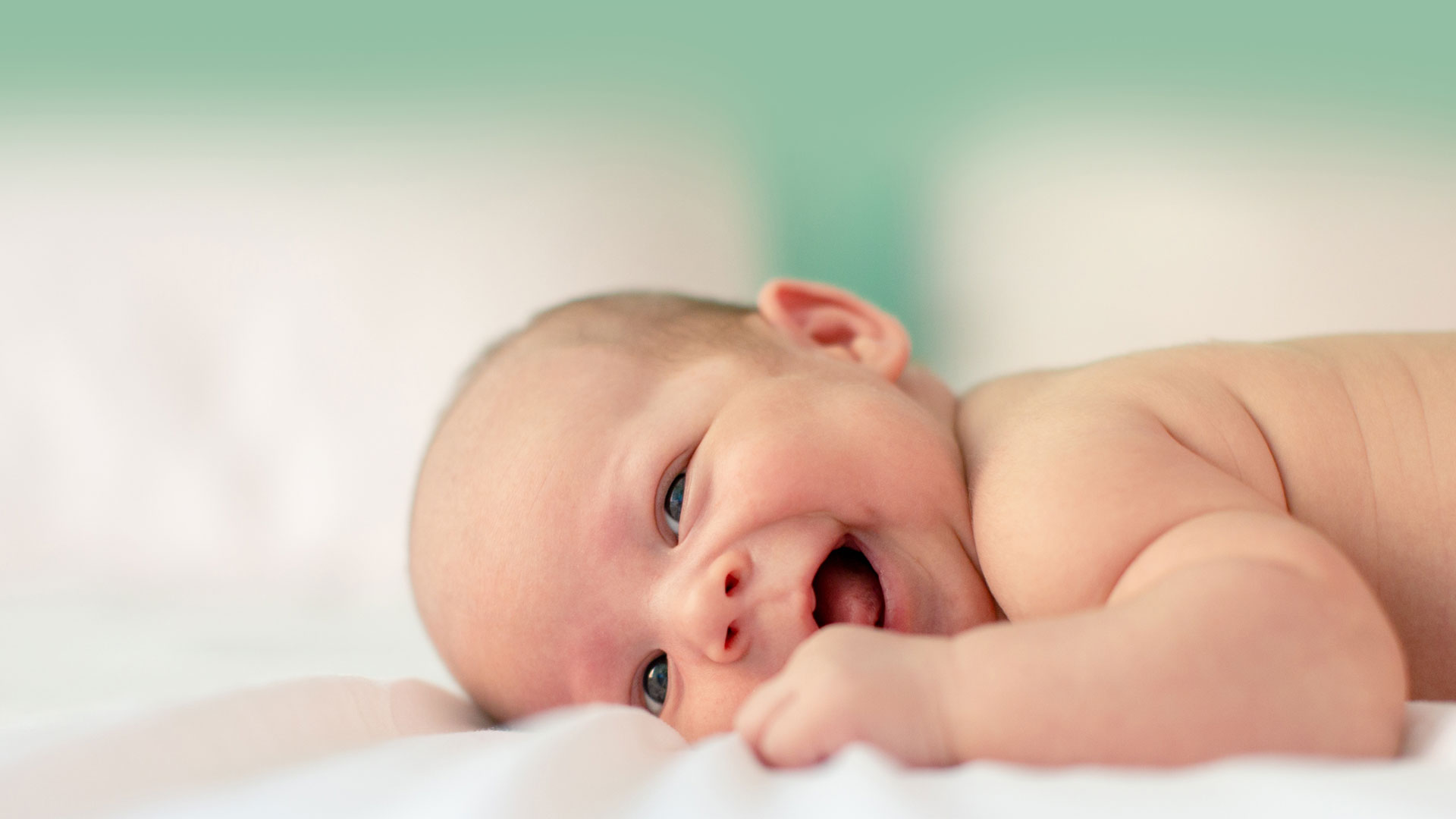 Workshop – A chegada de um bebé: que decisões tomar?